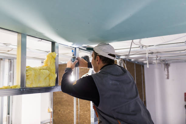 Best Specialized Insulation Services in California, MO