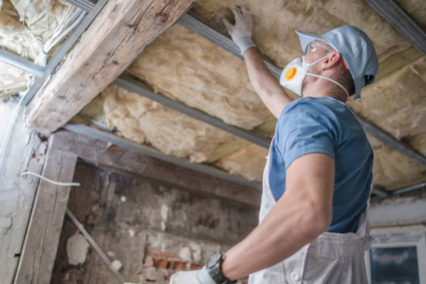 Best Blown-in Insulation in California, MO
