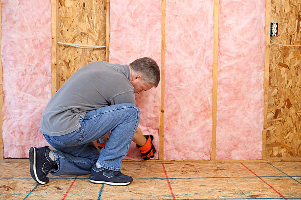 Best DIY Insulation Kits and Guidance in California, MO